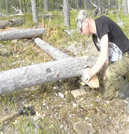 11 reactions | For 4 days, I was left alone in the forest to construct a log cabin. | Thomas Wilderness | Facebook