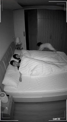 happy ya (@happybigduck)’s videos with 原声 - happy ya