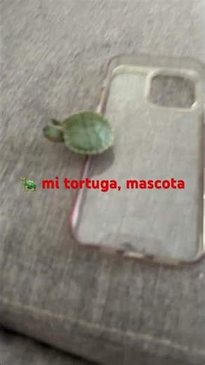 25 de abril de 2026