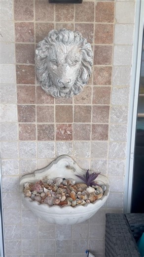 Shell fountain - it was full of dead plants. Now it’s full of seashells