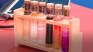 51K views · 638 reactions | Wissen Sie, was Liesegangsche Ringe sind? 邏 Zwei Schüler aus Bayern begeistern sich so für das kaum erforschte Naturphänomen, dass sie es in ihrer Freizeit untersucht haben. Für ihre Studie wurden sie heute mit dem Preis der Bundeskanzlerin beim Wettbewerb Jugend forscht ausgezeichnet. Wir gratulieren! | Bundesregierung | Facebook