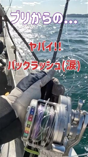 Fishing report: Yellowtail Derby Toba! It's crazy! Backlash 😭 #shorts #fishing #jigging