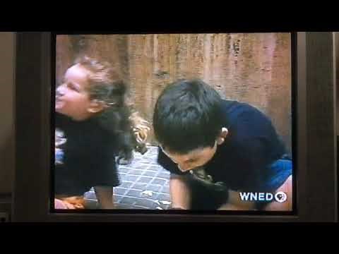 Teletubbies: Flower Festival [Spain] (US Version)