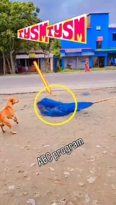 #rescueteam #emergencyresponse #disasterrelief #communityheroes #firstresponders #searchandrescue #teamwork #safetyfirst #heroicact #crisismanagement #professionalrescue #lifesaving #emergencyservices #animalrescue #firefighters #paramedics #coastguard #volunteerteam #humanitarianefforts #rescuemission #disasterresponse #rescueoperations #courageandbravery #onthefrontline #supportthetroops #rescuesquad #bravery #helpothers #alwaysprepared #togetherwecan | Dod Rescue team 24