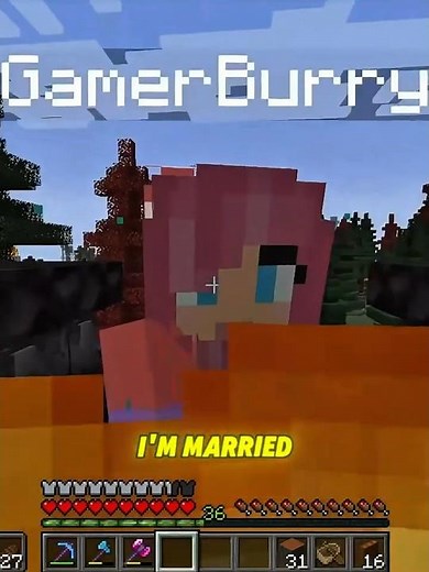 "I'm Married Calm Down" #smallishbeans #ldshadowlady #minecraft
