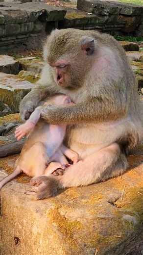 Mum Briana Taking Care Baby Boris