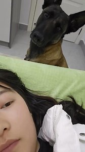 Jak skutecznie podać psu tabletkę? Tak! | Leśny Patrol - Ludzie Przeciw Myśliwym