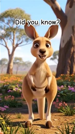 KANGAROO MOVES 🦘 #shorts