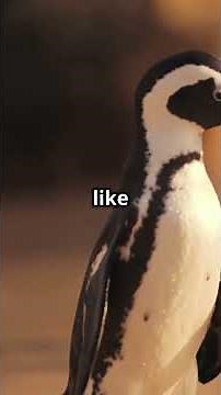 Penguins in Nature: Ecology, Biology, and Behavior