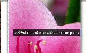 (Pen tool) exercise for Photoshop beginners