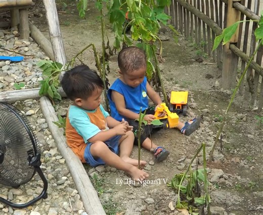 1.5K views · 99 reactions | Mom harvest dragon fruits to sell at the market, epi 01 | Single Mommy | Facebook