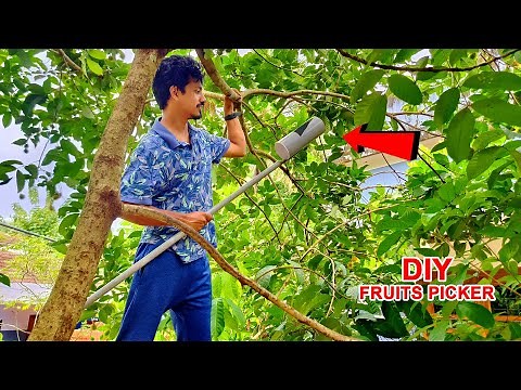 Easy Way to Make Fruit Picker Using PVC Pipe | DIY Fruits Picker