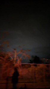 Con la pandilla en el parque | Chanchi Colors CR