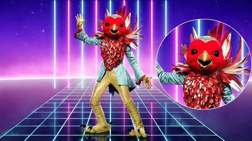 Who is Robin on The Masked Singer? Celebrity identity clues and theories revealed