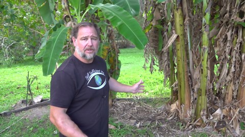 7 surprising things you can bury to supercharge your garden soil naturally!
