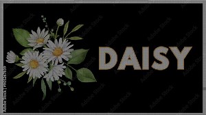 Daisy Sign Digital Animation - High-Definition Animated Video Featuring a Dynamic 'Daisy' Sign with Charming Motion Effects - Perfect for Floral Themes, Garden Events, and Decorative Signage