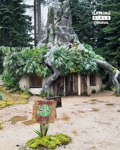 48K views · 100 reactions | You can actually visit Shrek's swamp IRL 勞 | GAMINGbible | Facebook