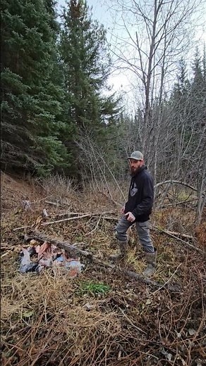 Setting up the bait station for wolf and coyote trapping! #trapper #trapping