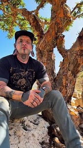 The rarest frankincense is the royal green. It grows in the fog zone at the exact elevation where the clouds kiss the cliffs. That is what gives it that translucent green glow. A resin shaped by mist. Light. Altitude. It is one of the most beautiful gifts the tree offers. #SmokeWalkers #frankincenseoil #distillation #essentialoil #frankincense | Angus SmokeWalker