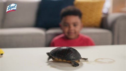 (6 pack) Lysol Disinfectant Spray for Sanitizing Antibacterial Disinfecting, Crisp Linen, 12.5 fl oz