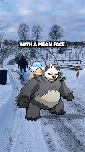 Nico Papalia on Instagram: "This battle is heating up, even though we had the type advantage I guess that I underestimated how strong a gym leader would be at this level!!! Honestly most of you guys were completely split down the metal on sending out Hariyama or Pangoro, so I figured flipping a coin would be the best way to settle this (and of course there were some outliers too rooting for Shroomish 🍄) Did you like how I changed up the intro in this one? I'm just trying some new things lately 