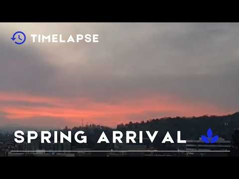 Spring Arrival, Foggy Mornings, Beautiful Sunsets - March Weather Timelapse
