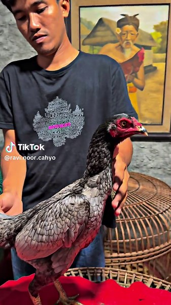 #CapCut vip DOLLAR JR🥁