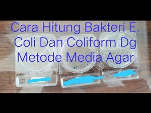 Cara Menghitung Bakteri E. Coli Dan Coliform Pada Media Agar #sanitariankit_episode2