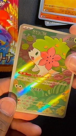Hot Air Arena Box #2 | DUPES & DUPES #pokemoncards #pokemontcg #pokemonpacks #japanesepokemon