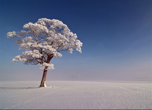 sentaurus 基础教学--适用小白（自用）