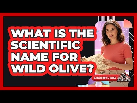 What Is The Scientific Name For Wild Olive?