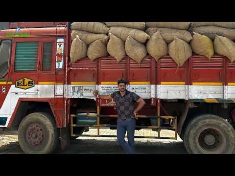 Raw Turmeric Procurement Process for High-Quality Curcumin | Botanix Industries