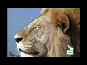 The Most Extreme - Cleaners