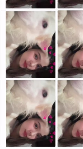 cuddle weather with this cutie 😚 #dog #fyp #furbaby