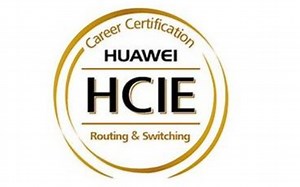 IS-IS(1)邻居建立过程、LSP交互过程