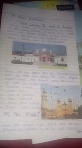 fazaia inter college English winter break assignment class 8 solved