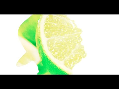 The Elovaters - Margaritas + The Squeeze [Visualizer]