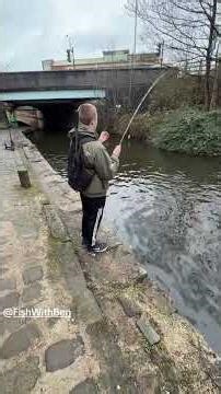 Many land crabs 🦀#primitiveskills #catchingfish #crabs #catching