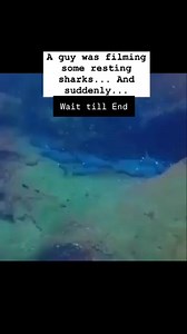 567K views · 9.6K reactions | The Body Guard Lets Dive With Octo...