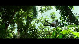 Get ready for the Xander Zone. Vin Diesel returns in xXx: Return of Xander Cage this January. | Paramount Pictures