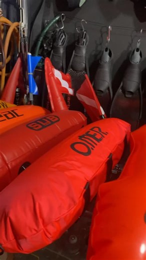 Ahmed Aouda matériel de chasse on Instagram: "Bouée sinyal chasse sous-marine"