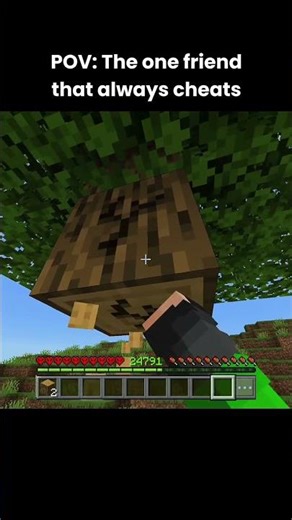 How Is This Possible?! 😱 #minecraft