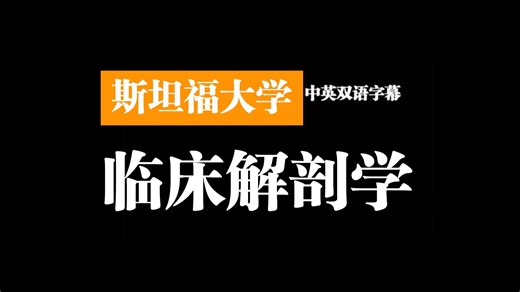 斯坦福：临床解剖学