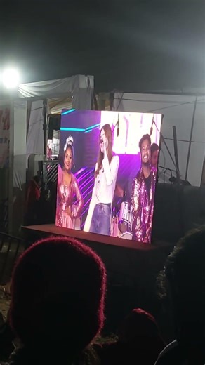 pali mahotsav kanika kapoor night program