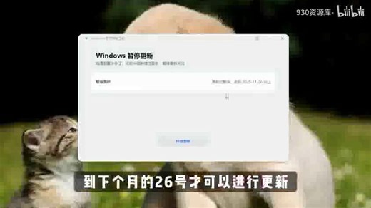 华为出品！台式机 / 笔记本必备！Windows更新想停就停，官方工具安全无风险!_bilibili