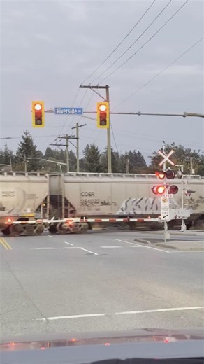 70K views · 366 reactions |  Rail Safety Week  Let’s continue to work together to #STOPTrackTragedies and make rail safety a priority in Abbotsford. ✅ Stay alert around railway tracks ✅ Obey all signs and signals ✅ Keep a safe distance ✅ Use designated pedestrian and vehicle crossings #Abbotsford #RailSafetyWeek | Abbotsford Police Department | Facebook