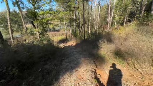 Alpaca Defend Baby Goats From Coyote Attack | Ima Survivor Donkey and Farm Animal Sanctuary