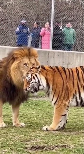 💥 Unbelievable Moments Caught LIVE at Home!