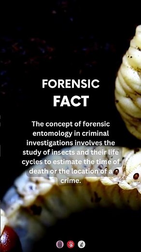 How is forensic entomology used in crime scene investigation | #forensicscience #forensics