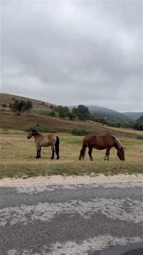 Bulgarian Countryside